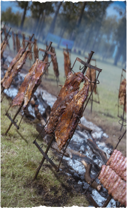 img_slider_dia_del_campo_02