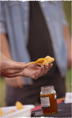 img_slider_dia_del_campo_03