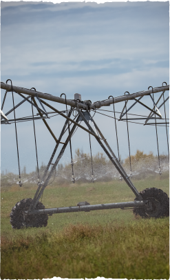 img_slider_dia_del_campo_06